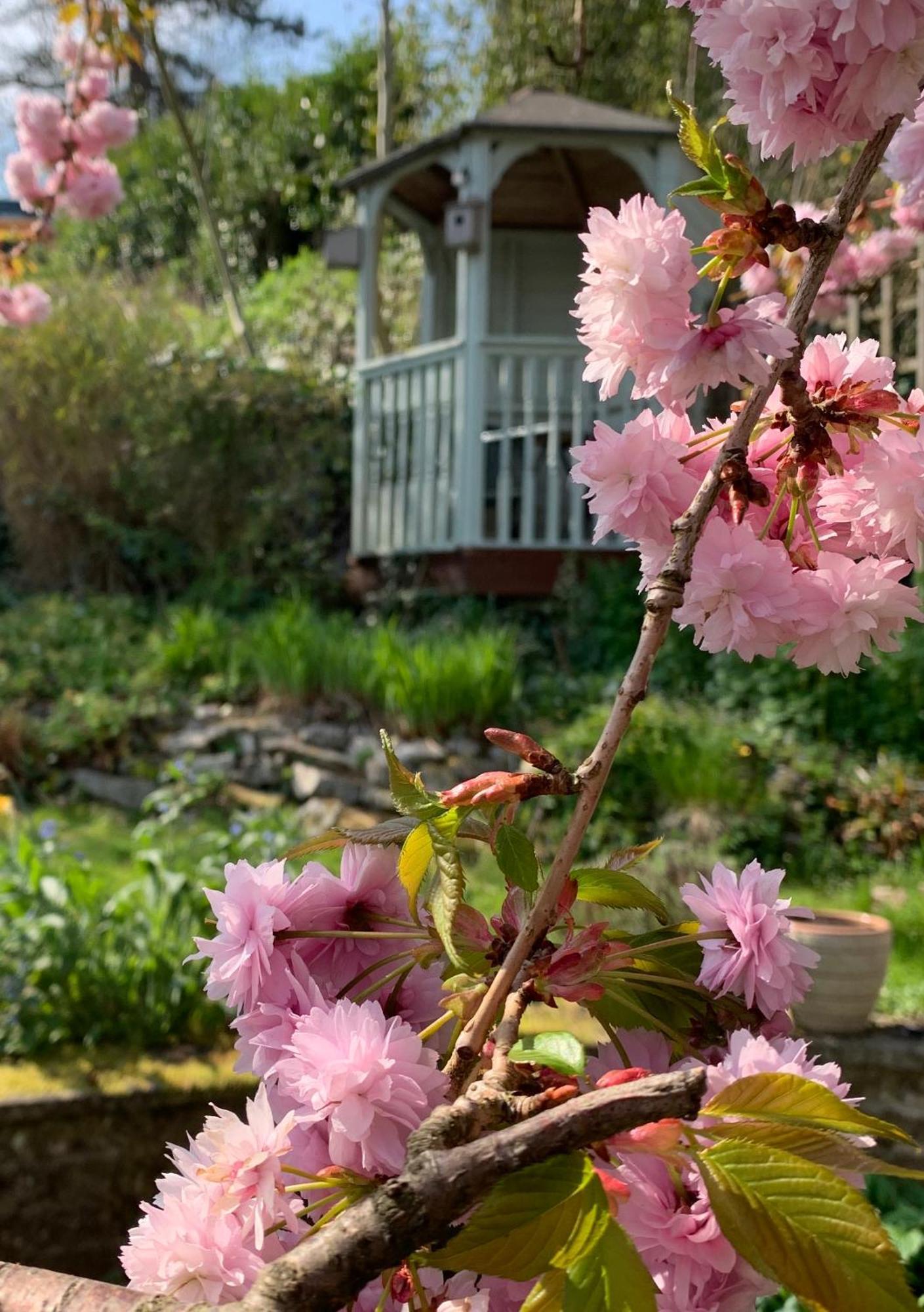 Ellen House Bed And Breakfast Matlock  Exterior photo