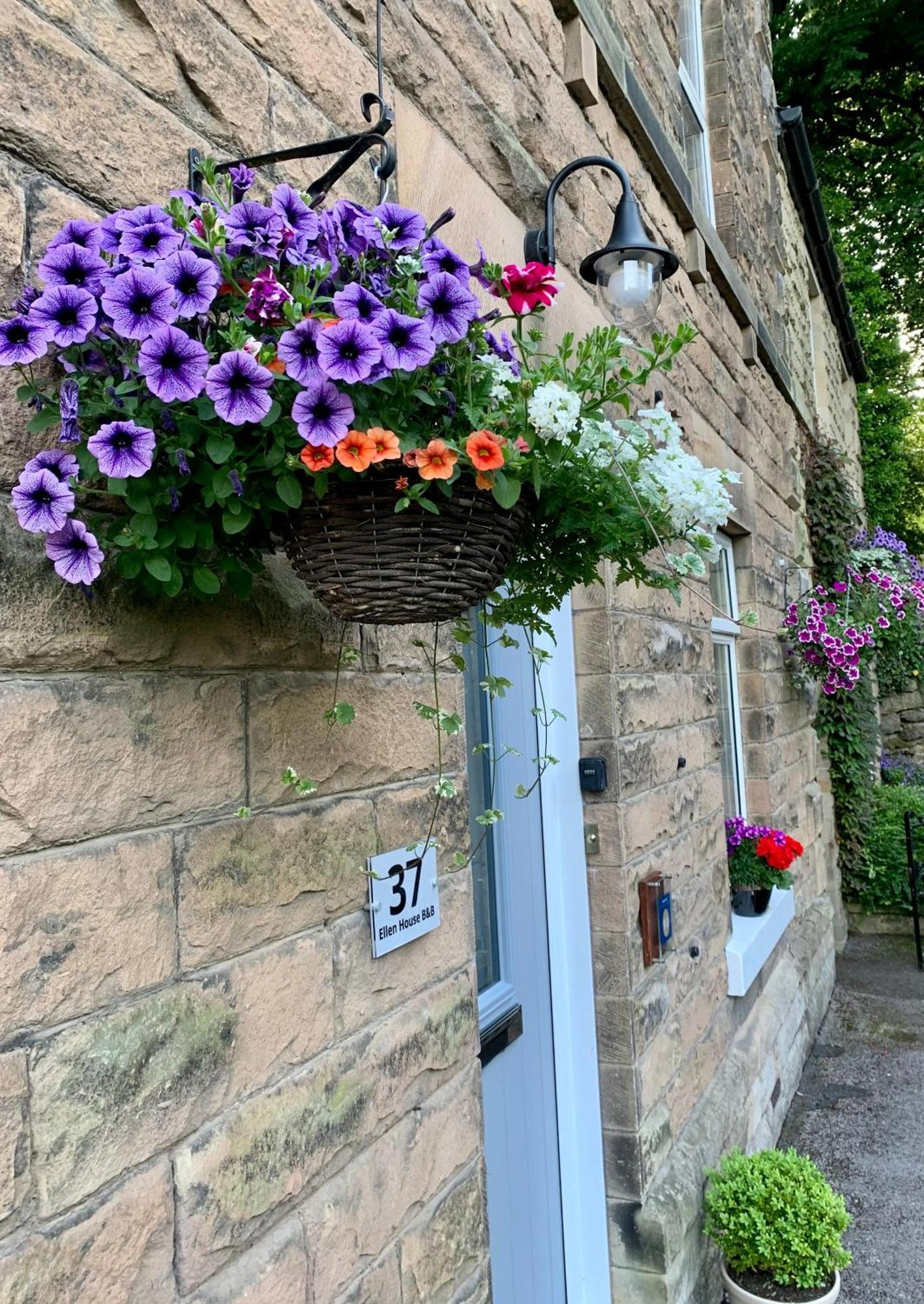 Ellen House Bed And Breakfast Matlock  Exterior photo