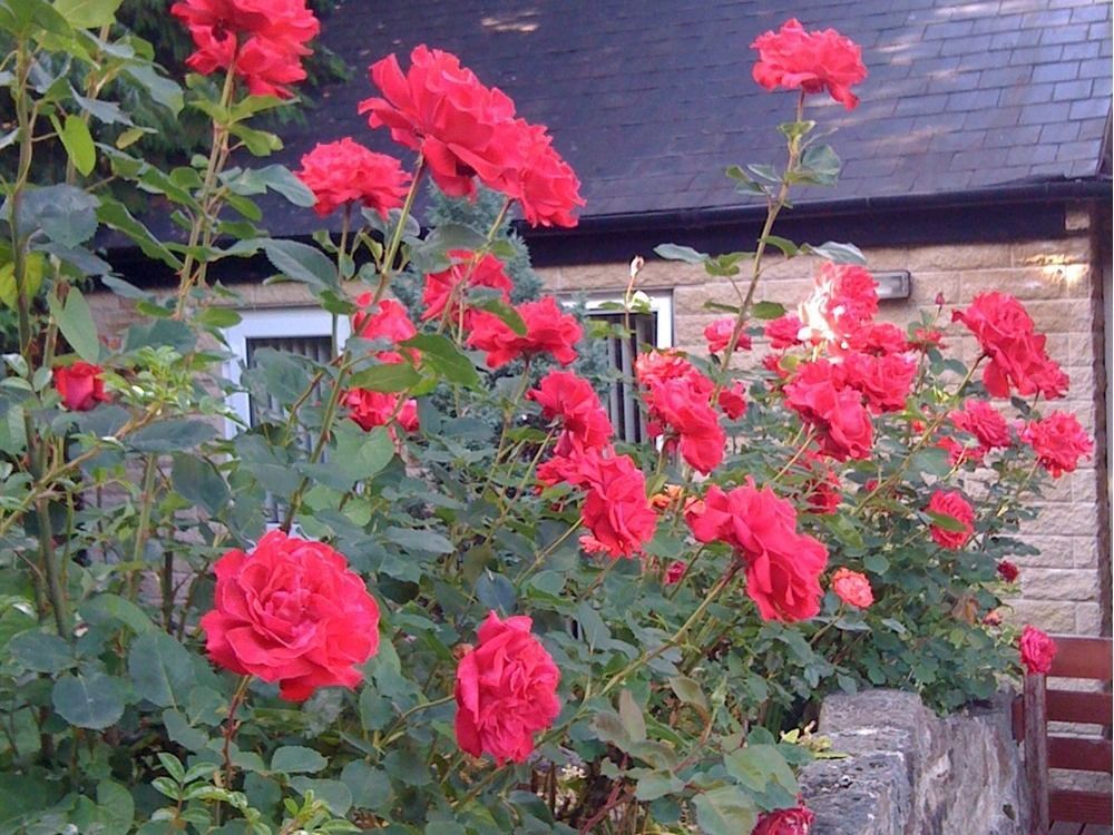 Ellen House Bed And Breakfast Matlock  Exterior photo