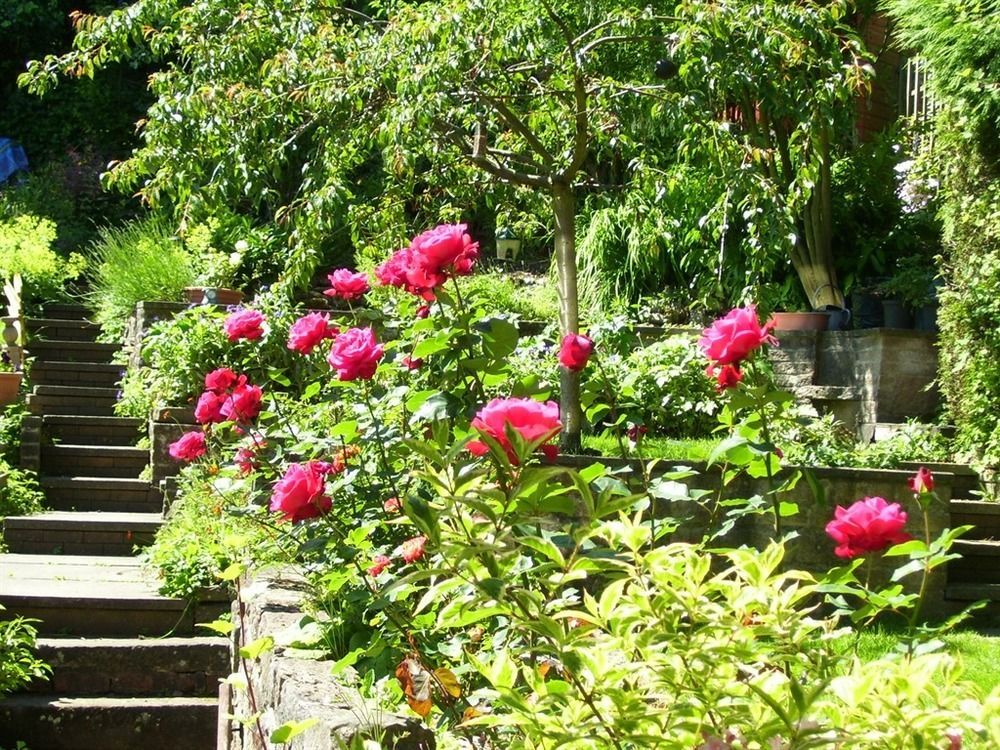 Ellen House Bed And Breakfast Matlock  Exterior photo